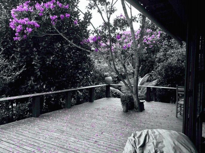 Vila Esperanca Vale do Capao Buitenkant foto